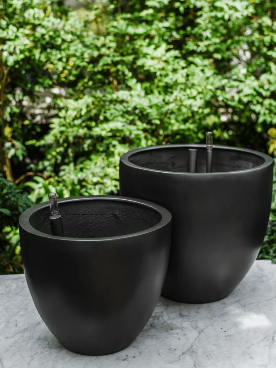 Inca Negro XL (Macetero Autorregante 42x36) - Imagen 3