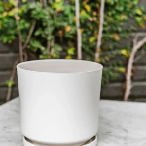 Dinamarca 24x23 Blanco (Macetero Porcelana L)