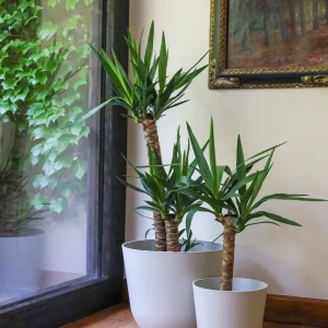 Madrid 40 Blanco (Macetero Plástico Reciclado XL)