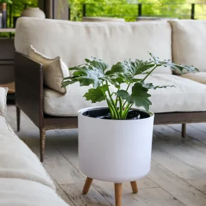 Atenas Blanco 32,42 (Autorregante L)