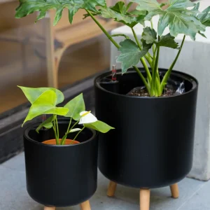 Atenas Negro 36,5 (Autorregante XL)