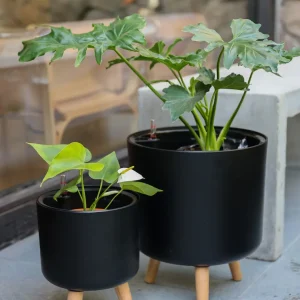 Atenas Negro 21,8 (Autorregante M)