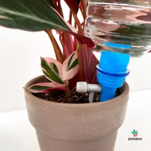 Autorriego Para Botella Por Goteo