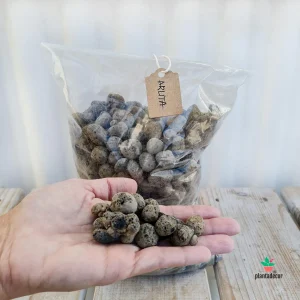 Arlita / Arcilla Expandida