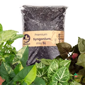 Sustrato Premium Syngonium