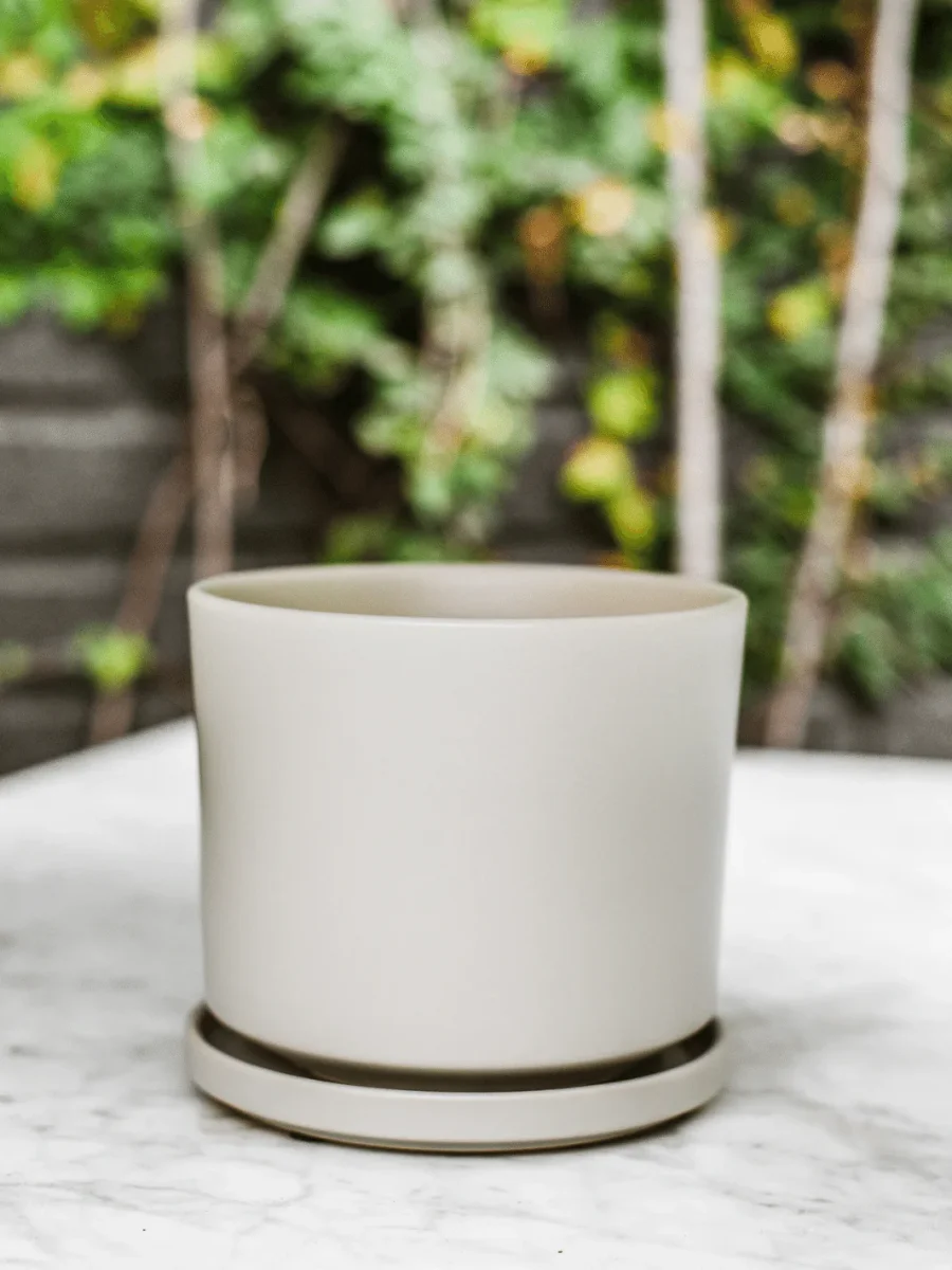 Dinamarca 24x23 Gris (Macetero Porcelana L) - Imagen 2