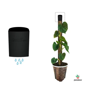 Goteros para Tutores