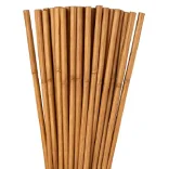 50 Cañas Tutores de Bambù para plantas 120cm – Diametro 10/12mm Cañas para plantas de Tomates – Estacas Huerto