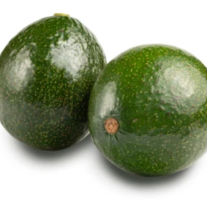 Plantón de Aguacate Eneida