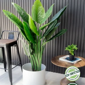 Strelitzia Nicolai 1.50 mts (Eco Sintetica)