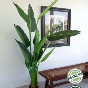 Strelitzia Nicolai 2.20 mts (Eco Sintetica)