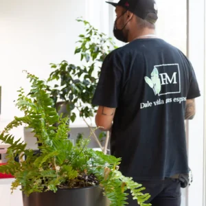 Asesoría Presencial