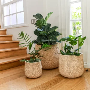 Amalfi 22x26 (Macetero Fibra de Arcilla) L