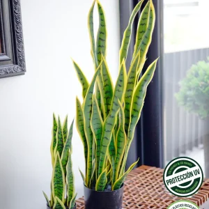 Sansevieria Variegada 90 cm (Eco Sintetica)