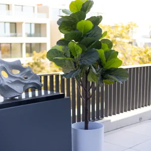 Ficus Lyrata 2.00 mts (Eco Sintetica)