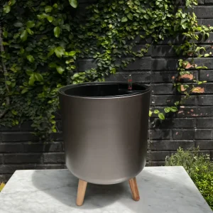 Atenas Cafe 36,5 Autorregante XL)