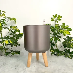 Atenas Cafe 21,8 (Autorregante M)