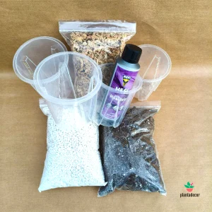 🌿 Pack de Adaptación