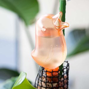 Globo de Riego Automático Pájaro Plástico