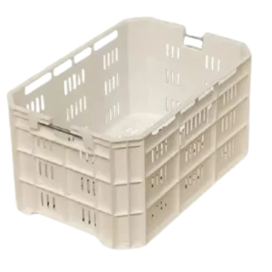 Caja Arándanos PP Amarillo/Blanco