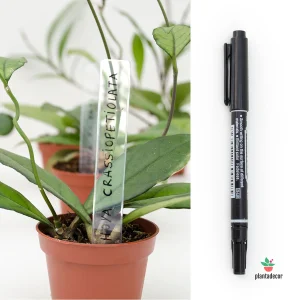 Pack de Etiquetas Para Coleccionistas de Plantas