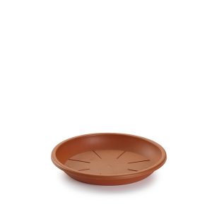 Plato Maceta 22 cm