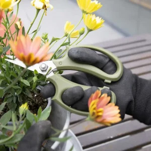 Tijera de Poda Interior PlantMe